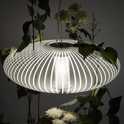 OSMUND OLSEN  |  500